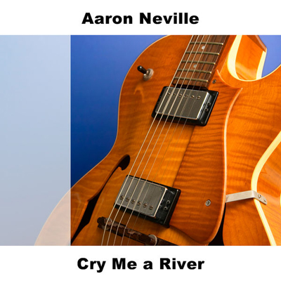 cry me a river 2006